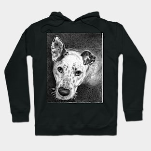 OTIS Hoodie